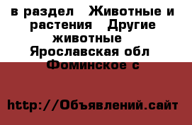  в раздел : Животные и растения » Другие животные . Ярославская обл.,Фоминское с.